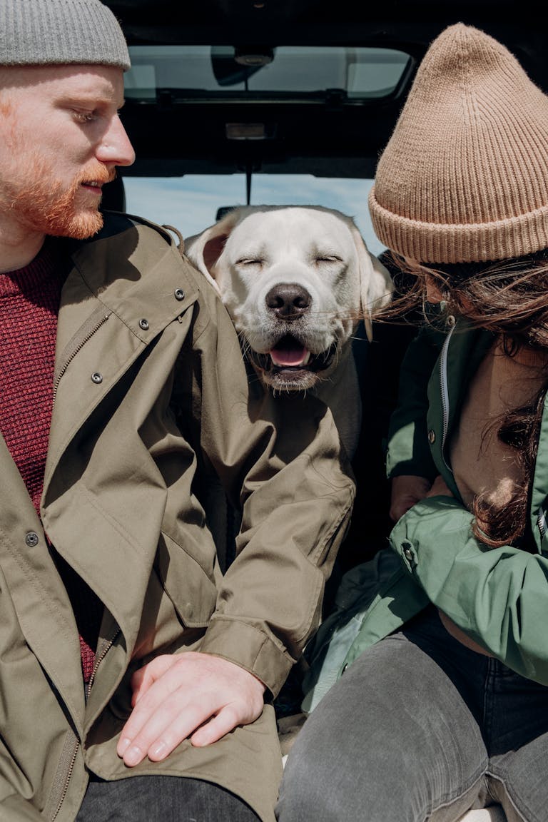 Couple with Labrador Retriever on a cozy road trip adventure.